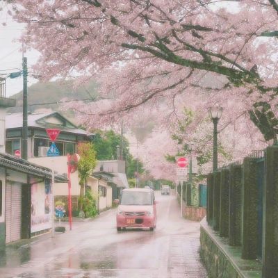风之剑舞满级版